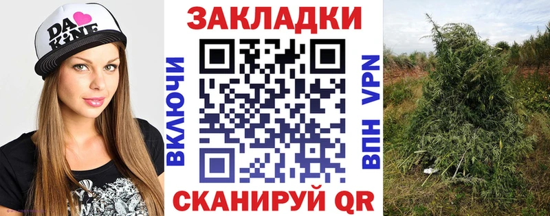 Купить наркотик Владимир КОКАИН  Alpha-PVP  Каннабис  OMG tor  Гашиш 