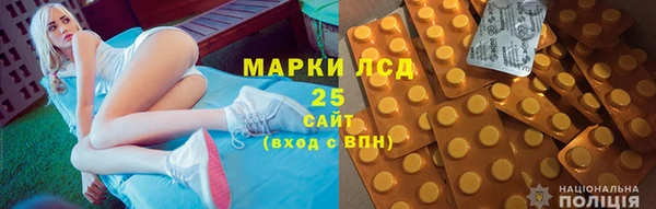 индика Кинешма
