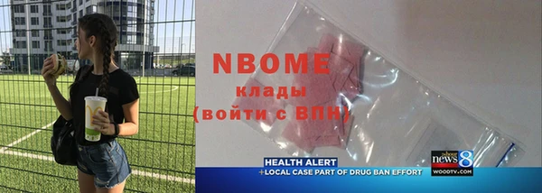 индика Кинешма