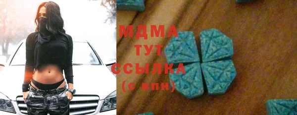 индика Кинешма