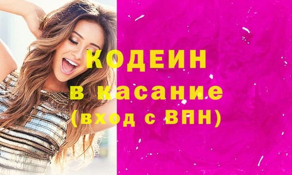 индика Кинешма