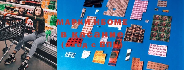 индика Кинешма