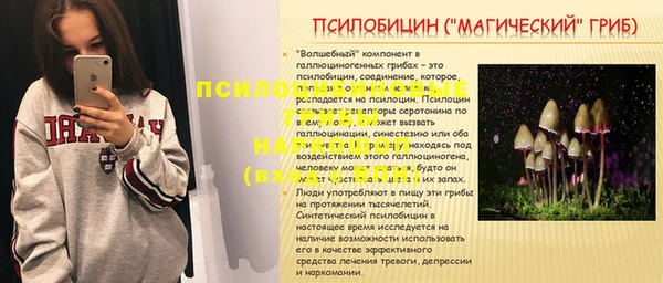 прущие грибы Козловка