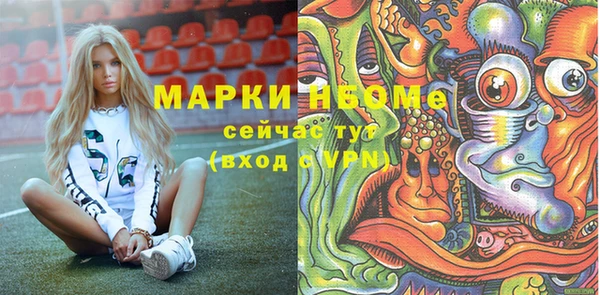 индика Кинешма