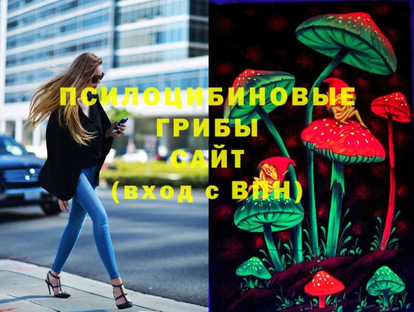 прущие грибы Козловка